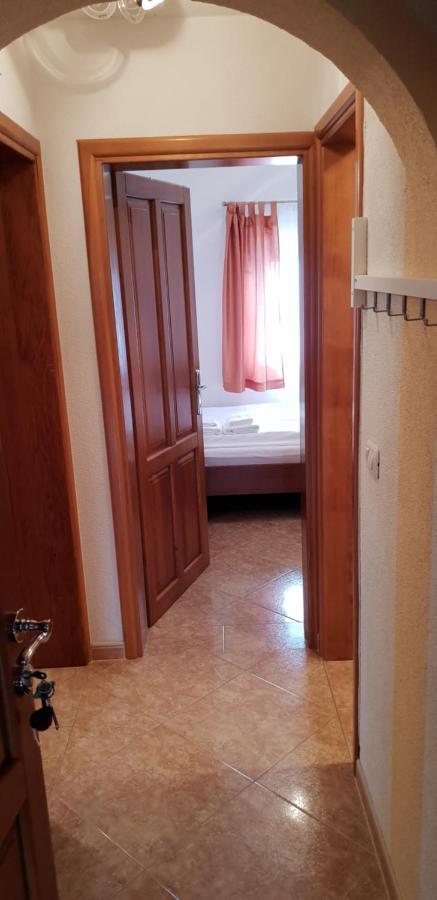 Apartmani Citrus Novigrad Filipac Екстер'єр фото