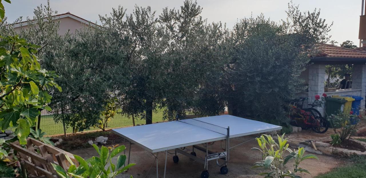 Apartmani Citrus Novigrad Filipac Екстер'єр фото