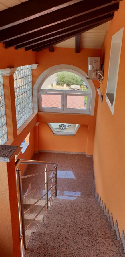 Apartmani Citrus Novigrad Filipac Екстер'єр фото