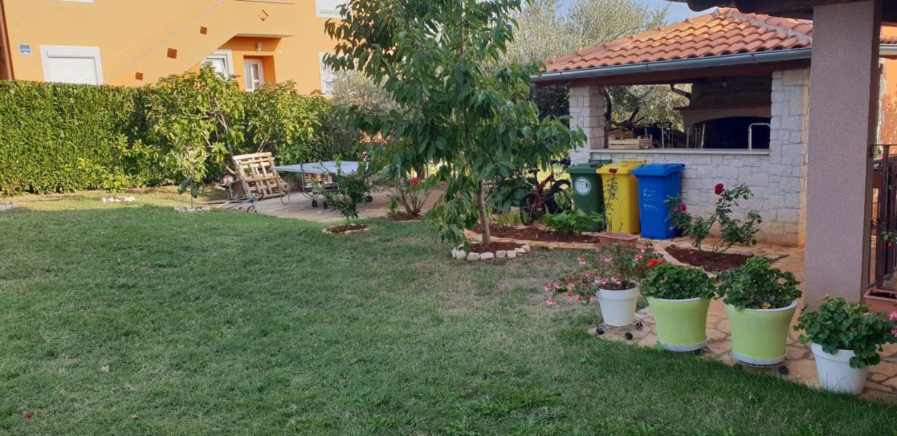 Apartmani Citrus Novigrad Filipac Екстер'єр фото