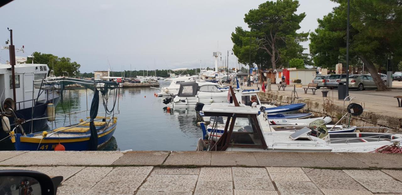 Apartmani Citrus Novigrad Filipac Екстер'єр фото